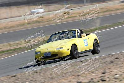 media/Feb-19-2023-Extreme Speed (Sun) [[b967fea7ae]]/3-Purple/session 3 bowl/